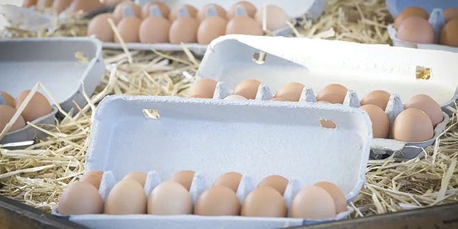 660px-1.-Screenshot-2023-12-21-at-9.03.27 am Nexdoc